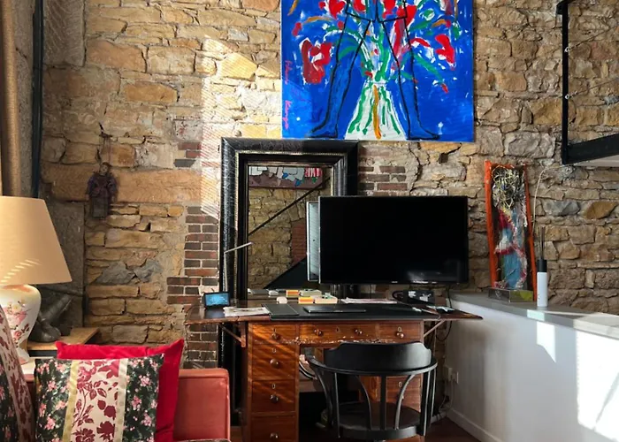Loft Sur Saône Appartement *